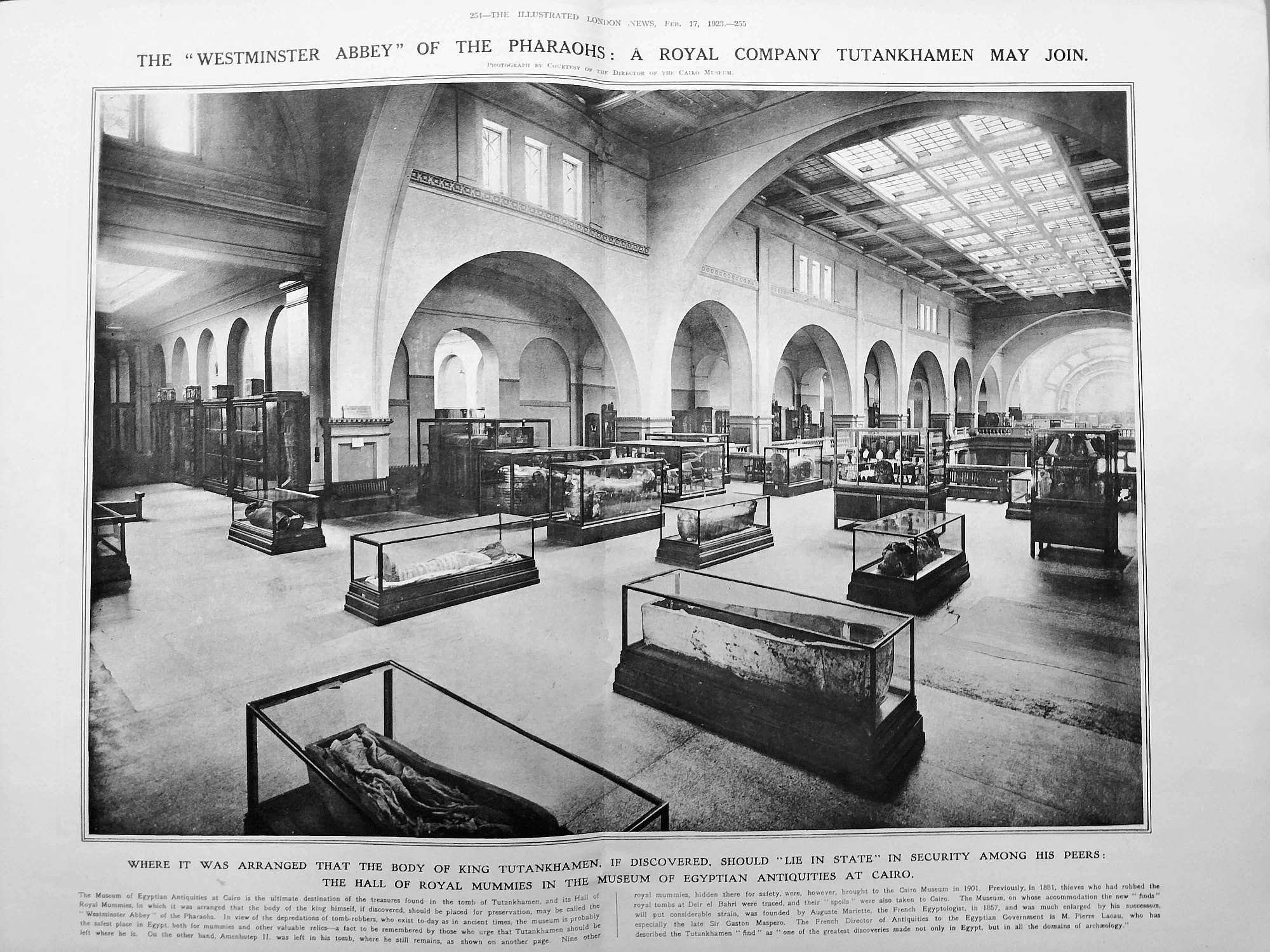 1923 tut cairo museum